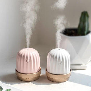 Wireless Cactus Humidifier with Atmosphere Lamp 260ml
